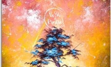 AVALIK – Üksik puu – Vali oma värvid